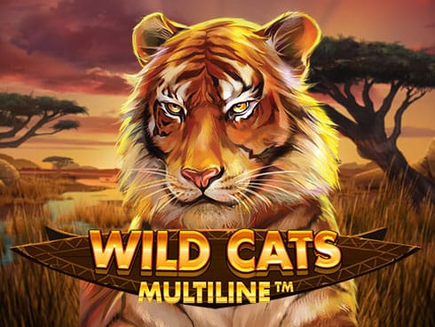 وائلڈ کیٹس ملٹی لائن screenshot